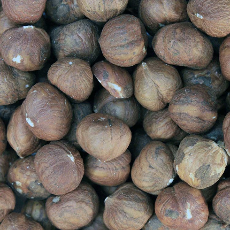INFINITY Organic Hazelnuts 250g
