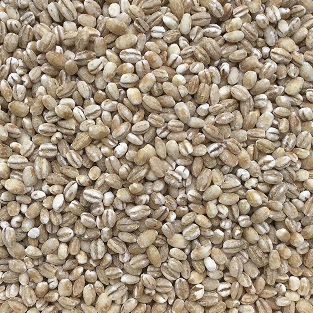 INFINITY Organic Pearl Barley 500g