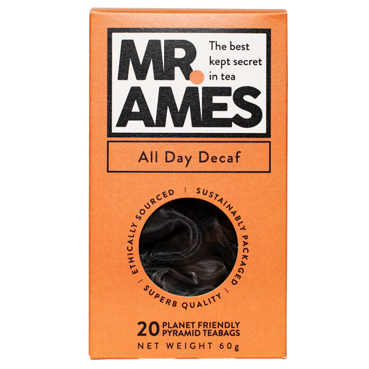 MR AMES All Day Decaf Pyramids (20)