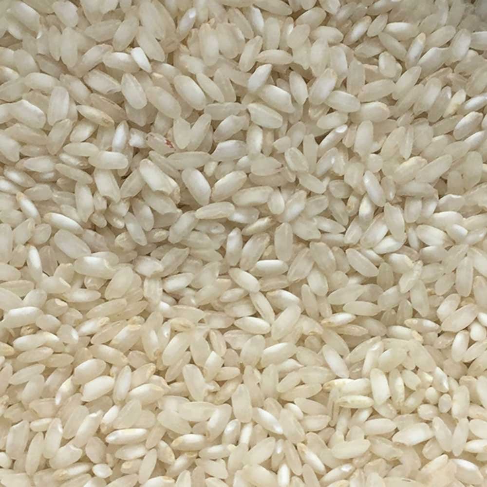 INFINITY Organic Arborio Rice - white - Italy 500g