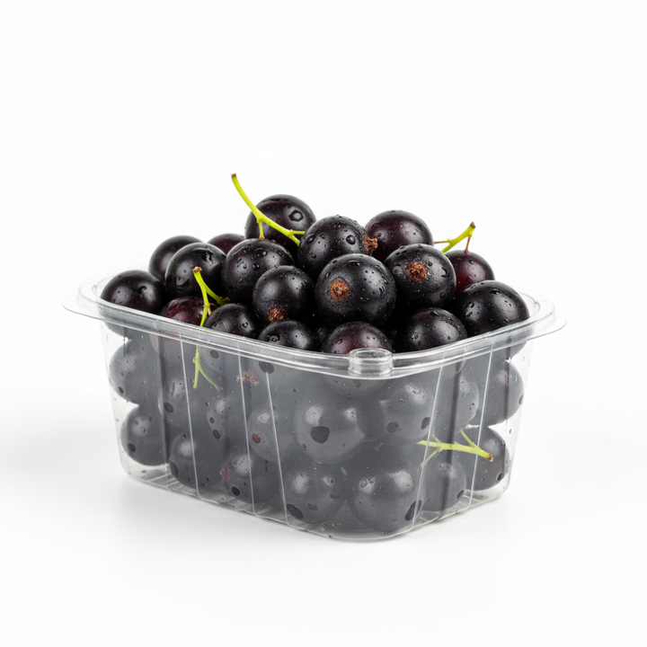 Blackcurrant Punnet