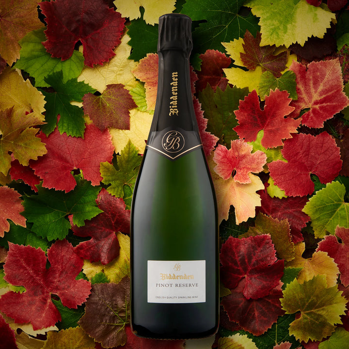 BIDDENDEN Pinot Reserve Sparkling 75cl