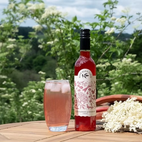 BUSH BARN FARM Elderflower&Rhubarb 500ml
