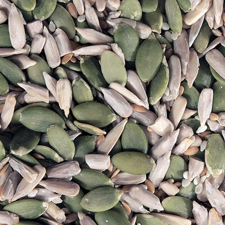 INFINITY Organic Omega Four Seed Mix 250g