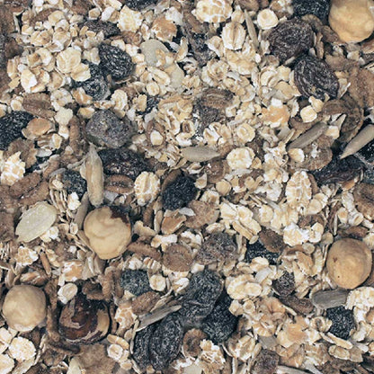 INFINITY Organic Super Muesli 1kg