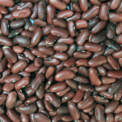 Organic Red Kidney Beans