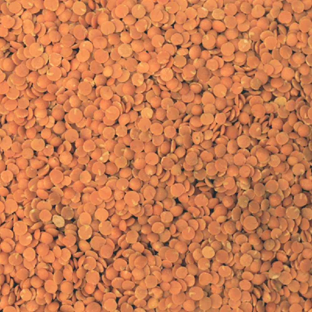 INFINITY Organic Red Split Lentils 500g