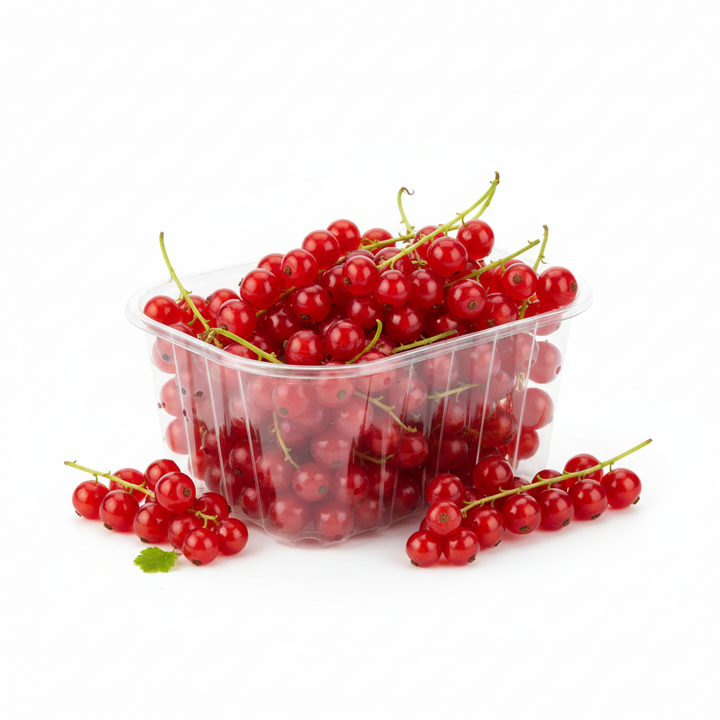 Redcurrants Punnet