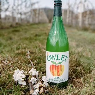 OWLET Cox Apple Juice 1ltr
