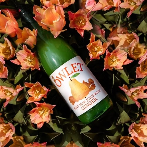 OWLET Pear Juice with Ginger 1ltr